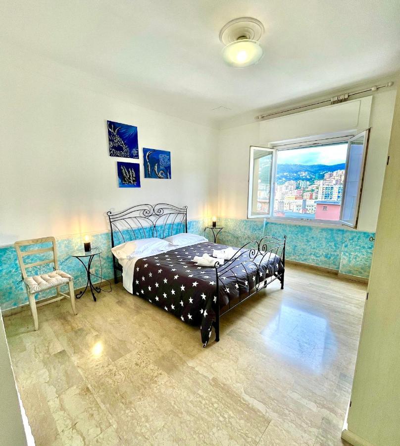 Apartment Color Dream